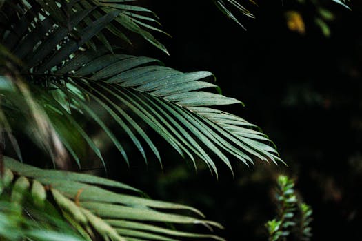 Build Your Retirement Nest Egg: Strategies to Maximize 401(k) Contributions