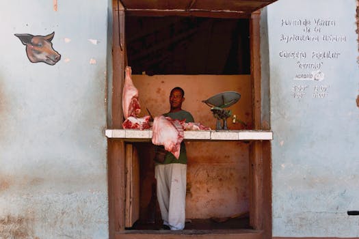 pexels-photo-19352815