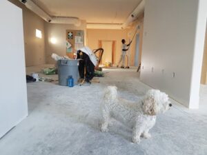 The Anatomy of a Crack: Why Do Walls and Ceilings Sag and Split?