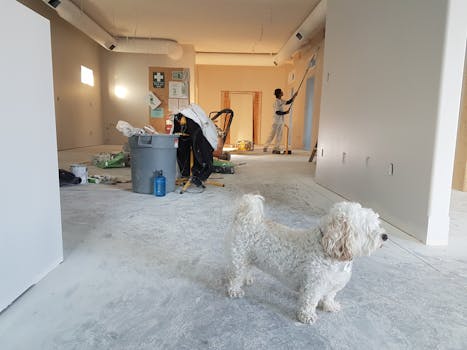 The Anatomy of a Crack: Why Do Walls and Ceilings Sag and Split?